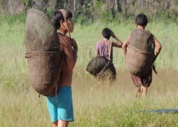 Amazonas │Experto disertará sobre el impacto socioambiental de la minería ilegal