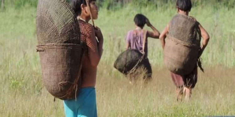 Amazonas │Experto disertará sobre el impacto socioambiental de la minería ilegal