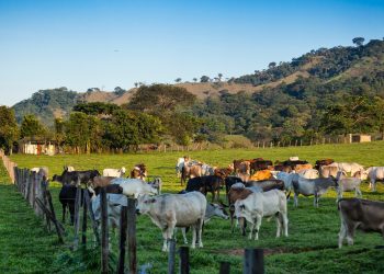 Barinas │Figuras locales se suman a campaña por una sociedad íntegra