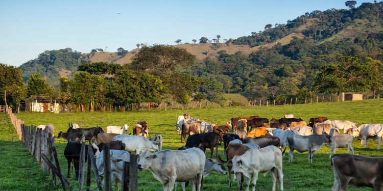 Barinas │Figuras locales se suman a campaña por una sociedad íntegra