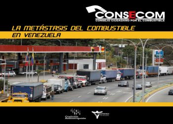 Consecom: Ocho de cada 10 venezolanos hacen largas colas para la gasolina