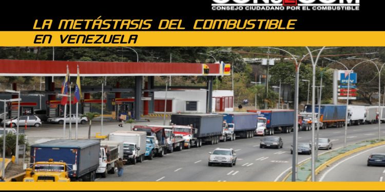 Consecom: Ocho de cada 10 venezolanos hacen largas colas para la gasolina
